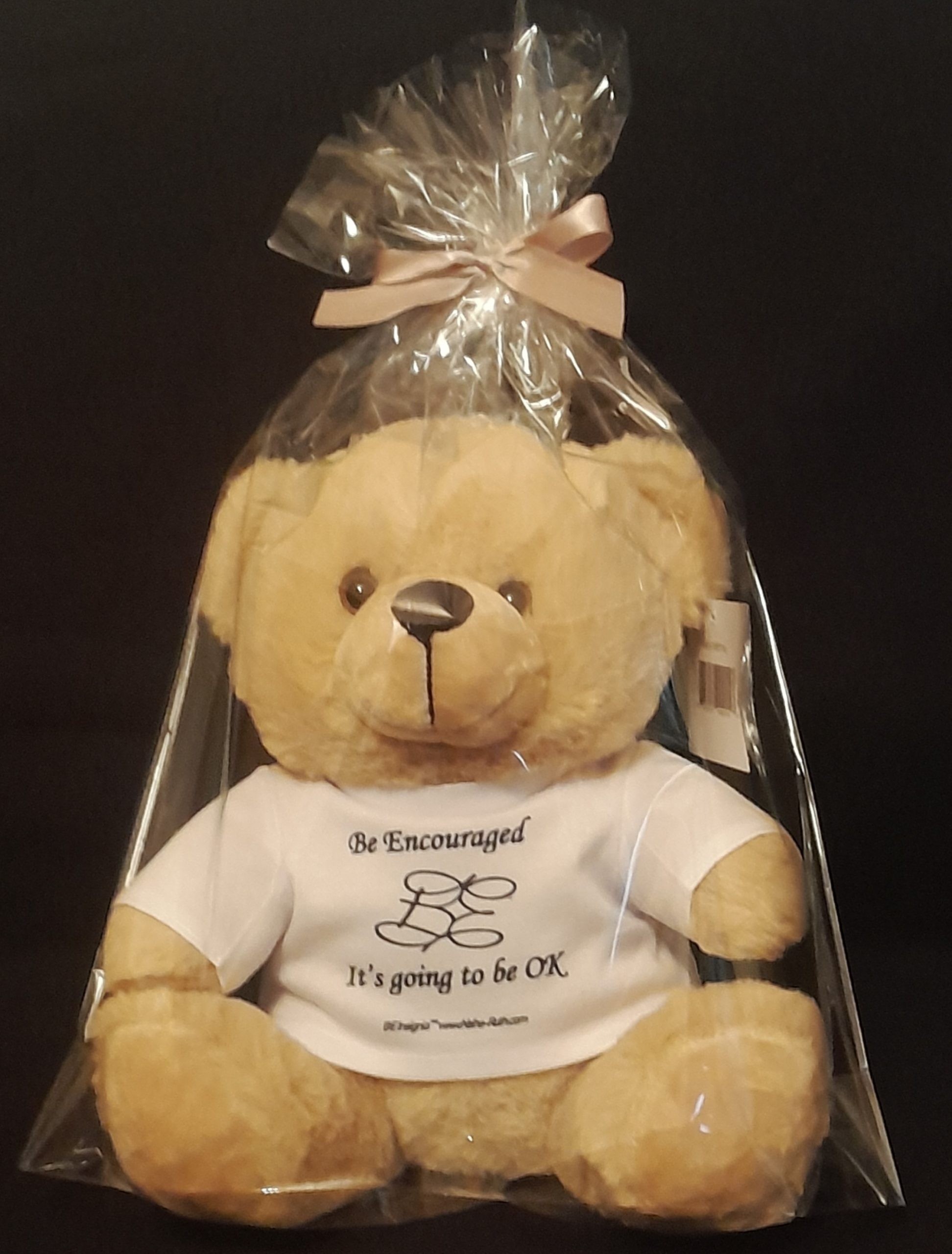 B E Insignia Bear - Image 2